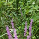 주약현대2차아파트 이미지