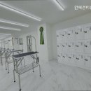윈애견미용학원