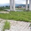 s.i 민박 이미지