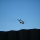 오늘 찍은사진 몇장올립니다 지송합니다 이미지