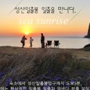 푸른 제주 이미지