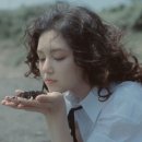 가취 네이버블로그