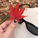 반포식육식당 이미지