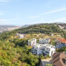 뷰-라인 이미지