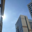 내고향공인중개사사무소 이미지