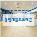 용인대드래곤태권도장 이미지