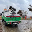 천안메추리농장 이미지