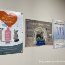 최우식동물병원 이미지