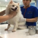 브레인온 이미지