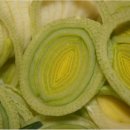 신안농장 이미지