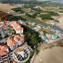 솔비치카페 이미지