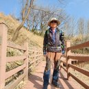 보은삼거리 이미지