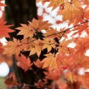 알엠 피트니스 이미지