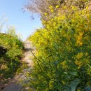 대정 골드빌라스 풀빌라 대가족숙소 이미지