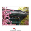 합도초교 이미지