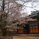 직지사길 이미지