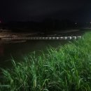 금현농장 이미지