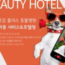 건강하게동물병원 이미지