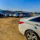 월롱농장 이미지