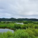 죽정습지 이미지