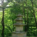 아름다운 그님 이미지