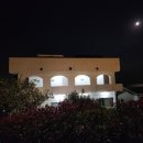 잠비스테이 이미지