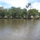 [아마존] 정글 오두막 이미지
