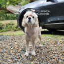 일월관광농원캠핑 이미지