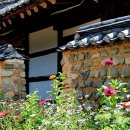 대산면 감성마을 이미지