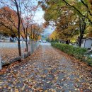 구름계곡민박 이미지