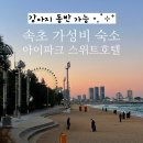 스위트호텔 | 속초여행 아이파크 스위트 조식 호텔 추천 후기 + 애견동반 내돈내산 가성비