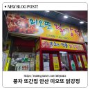 보성약국 | 풍자 또간집 안산 원곡동 미오또 닭강정 내돈내산 후기