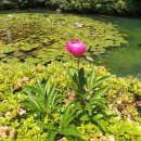 한강메디칼코리아 이미지