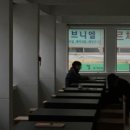 평화와평화