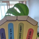 (자격증)노인그림책긍정심리지도사 이미지