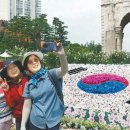 무궁화로 이미지