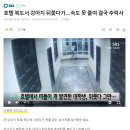 [인도] 호텔 복도서 강아지 뒤쫓다가…속도 못 줄여 결국 추락사 이미지