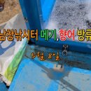 남창낚시터 이미지