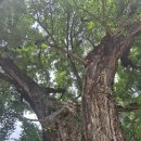 시청뒤회전교차로 | [국내여행] 추석 전주 1박 2일 관광 후기 🍁