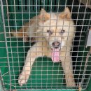 회원동225 이미지