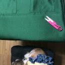 스테이 베프 이미지