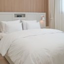 아멜리아풀빌라 이미지