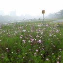 코스모스 어린이집 이미지