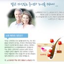 아이스맨,방충모자,원액기,랜턴,믹서기,야외모기장 도매공급 이미지