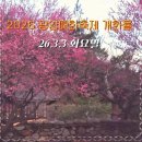 하동역 | 2026 광양 매화축제 주차 및 셔틀버스 시간표 하동역 가는법 교통 꿀팁 정리