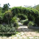 산책갈까? 이미지