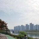 안산천수변공원1 이미지