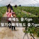 즐기go