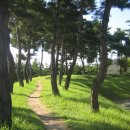 몽마르뜨 이미지