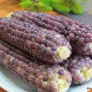 흑찰옥수수, 옥수수 삶는법, 옥수수 수염의 효능 이미지